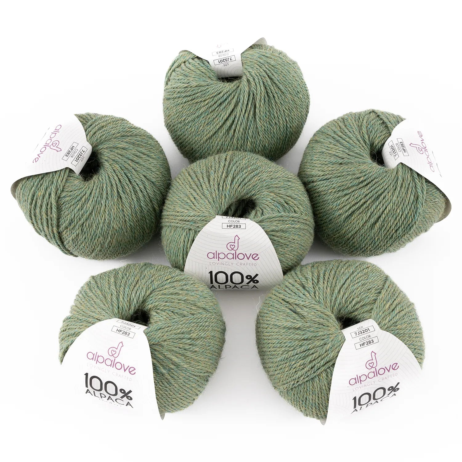 WORSTED Six-pack