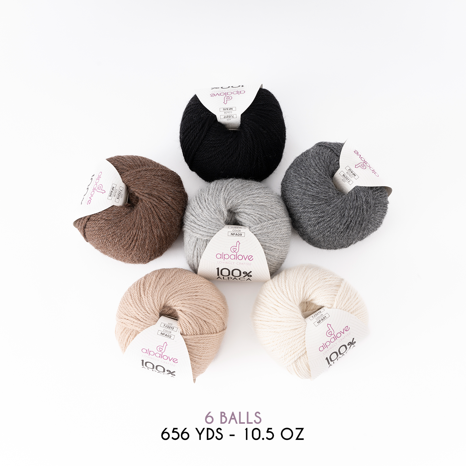 WORSTED Six-pack NMX