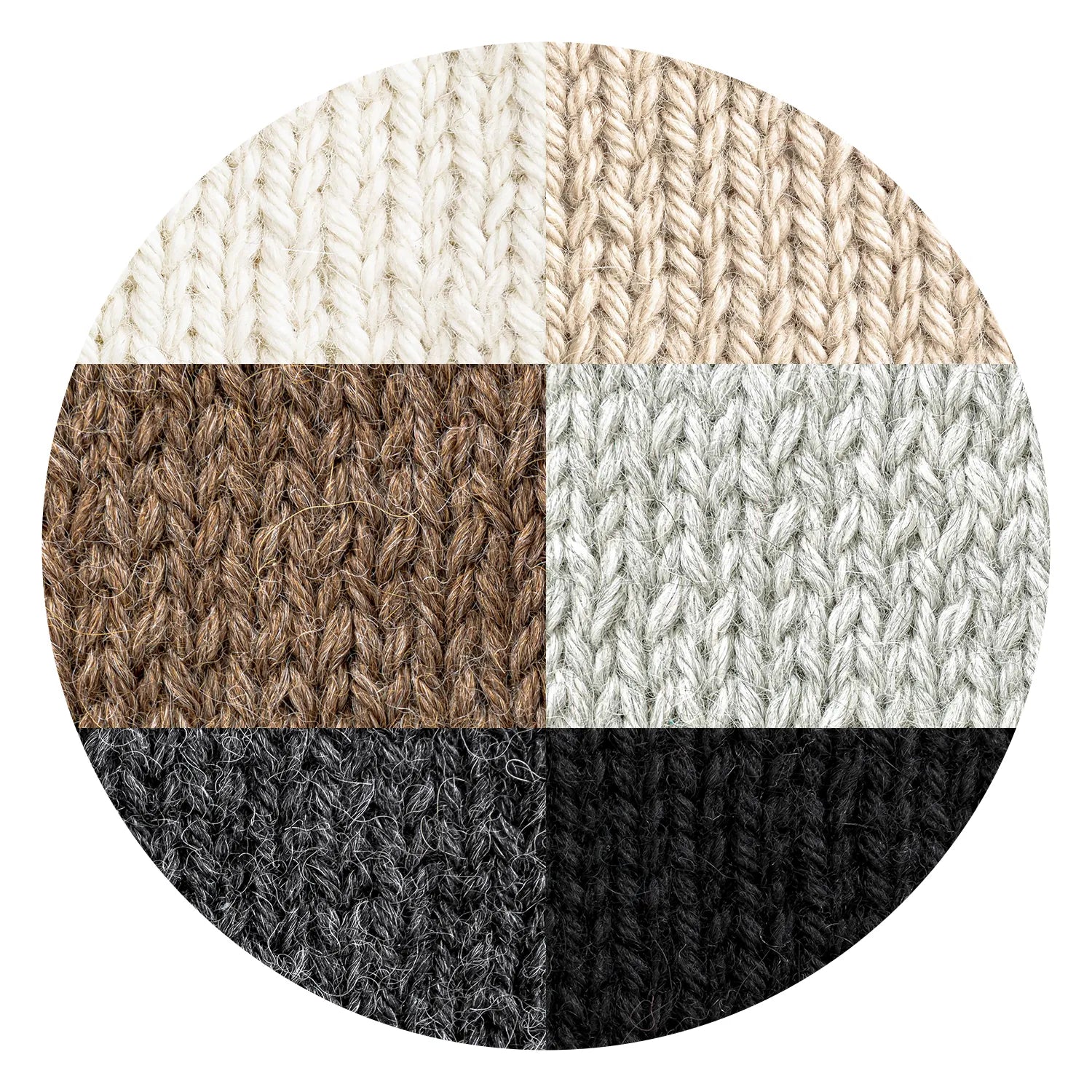 WORSTED Six-pack NMX